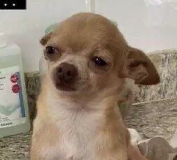 นั่งมองคนรักกันผ่านหน้าทามไลน์