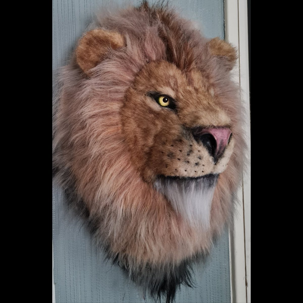 Jaynetunners's tweet photo. Still needs a bit more refining, and whiskers etc but this is the first lion I've ever made. He's lifesize. I've called him Llewellyn, which is Welsh for 'like a lion'. #fauxlion #animalfriendly. #fauxfur #lionfauxtaxidermy #lion #handmade #craftedcreatures #animalreplica https://t.co/uXQIRJncoR