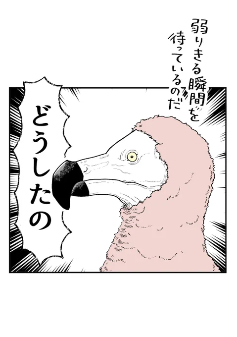 2/2