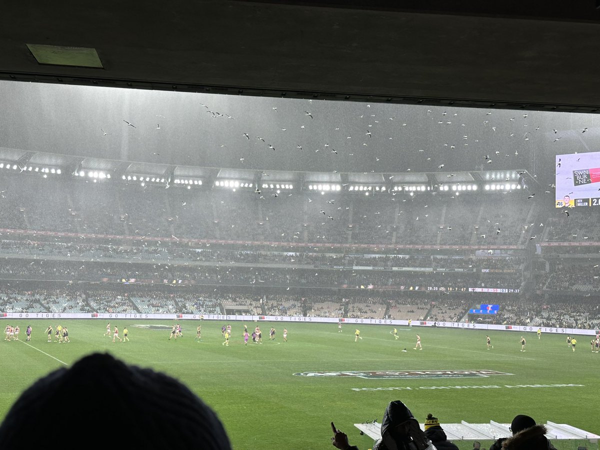 .<a href="/MCG/">Melbourne Cricket Ground</a> fix the bloody seagull situation. 
Absolute ridiculous. 
<a href="/AFL/">AFL</a>