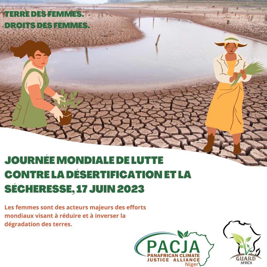 Pacjaniger tweet media