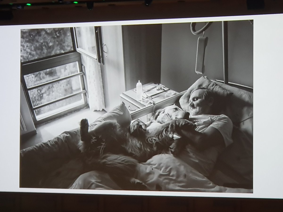 Winning photo of the year #EAPC2023 capturing the heart of Palliative Care, so beautiful ❤️