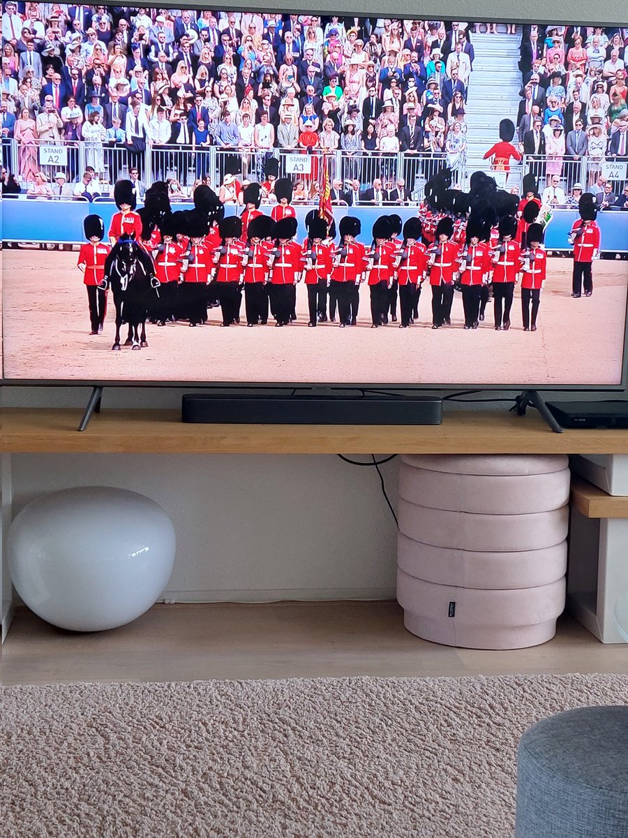 Marijkeblond's tweet image. #troopingthecolor bij ons laten we de koning met oranje wc potten gooien, en de krankzinnige lapzwans doet het nog ook. Poppenkast, overal.