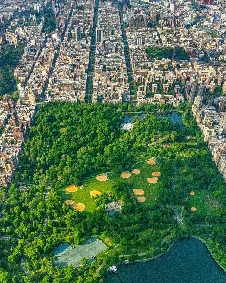 Central Park, NY City 💚