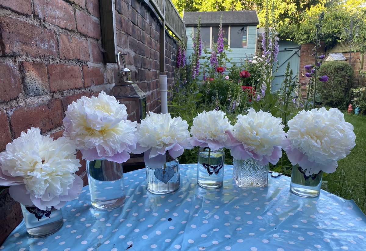 I’m missing my gorgeous peonies which has just finished flowering from the plant that my mum bought me when I first moved into my house. If only my camera had smellovision! They just smell divine! 🌸👃🥰 #gardening #GardeningTwitter