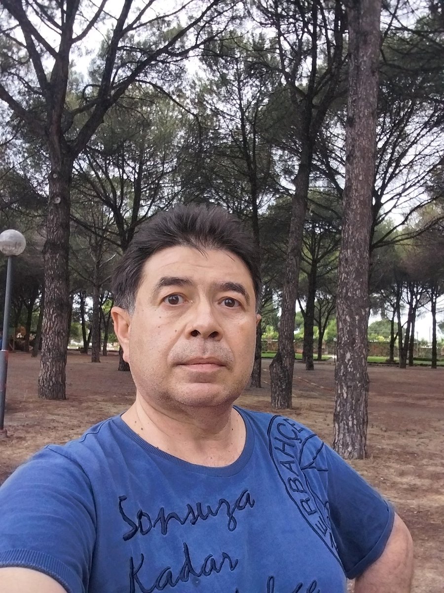 Ormanlık bir yerde gezinti...17/06/2023  saat 13.30