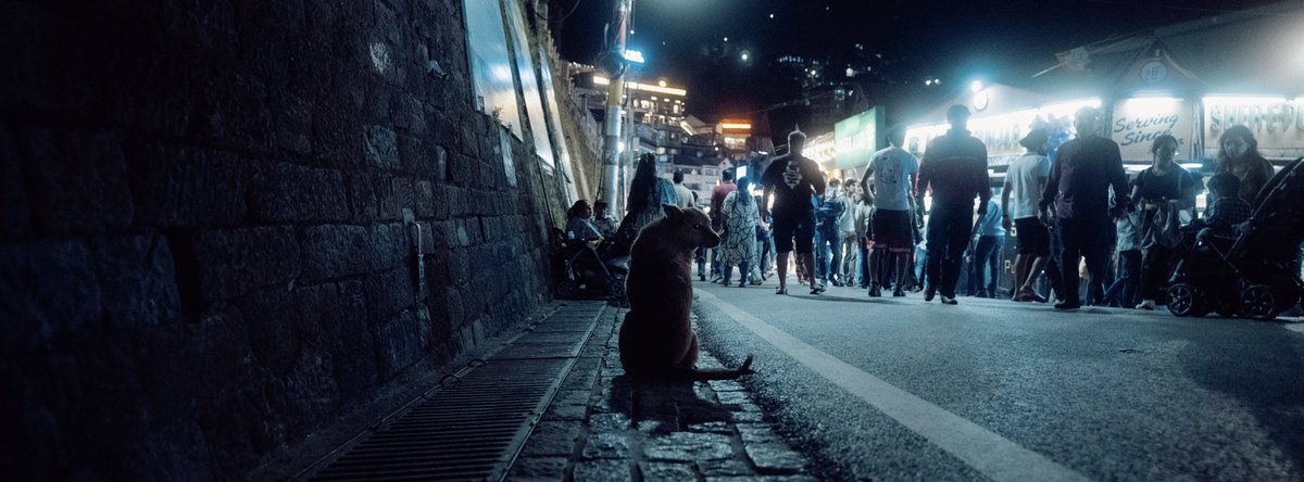 youtu.be/51UnhGsH9Yg 
.
.
#FUJIFILM #shimla #fujifilm_xseries #viltrox #fujifilmxh2s