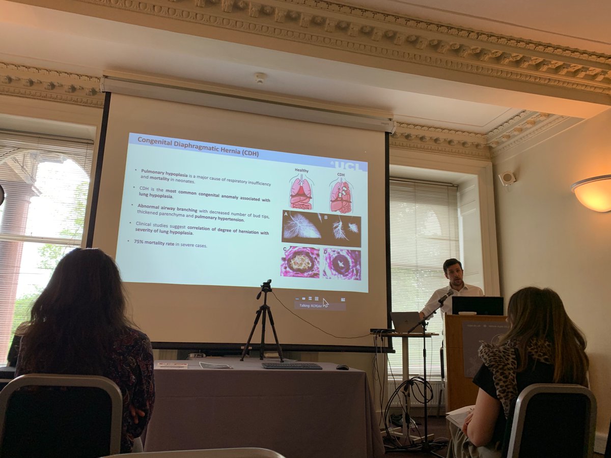 Loukogeorgakis Lab (@inuterotherapy) on Twitter photo Great for Stavros to present on VEGF and CDH on behalf of our collaborative group <a href="/paolodecoppi/">Paolo De Coppi</a> <a href="/soichishibuya/">Soichi Shibuya</a> and others at #iFETIS Great for Stavros to present on VEGF and CDH on behalf of our collaborative group <a href="/paolodecoppi/">Paolo De Coppi</a> <a href="/soichishibuya/">Soichi Shibuya</a> and others at #iFETIS