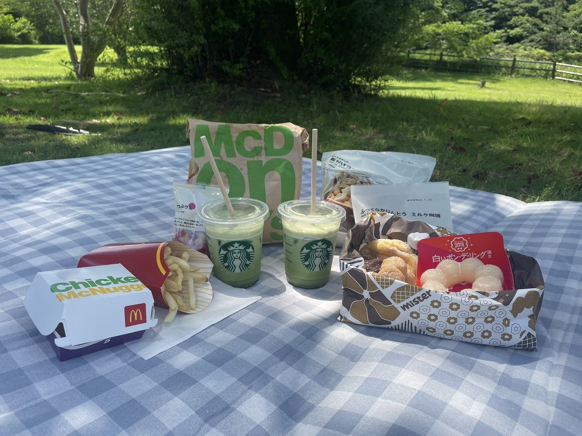 picnic part.1