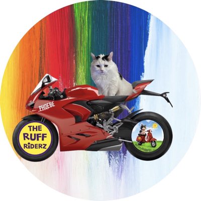 #NewProfilePic An update, thank you El Niño @KKC255 this fits perfectly. I’m all ready for the journey to Malta with El Niño’s Team - Maltas Maddist Moggies #MMM #ruffriderz
