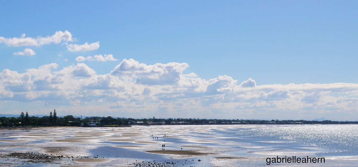 The view of Moreton Bay today ☀️🌴🐚💦 

 📷 gabrielleahern 👩🏼‍🦰🐶

#seaside #landscapes #nature #photography #seeaustralia #moretonbayregion #sunnyday #seasidewalks