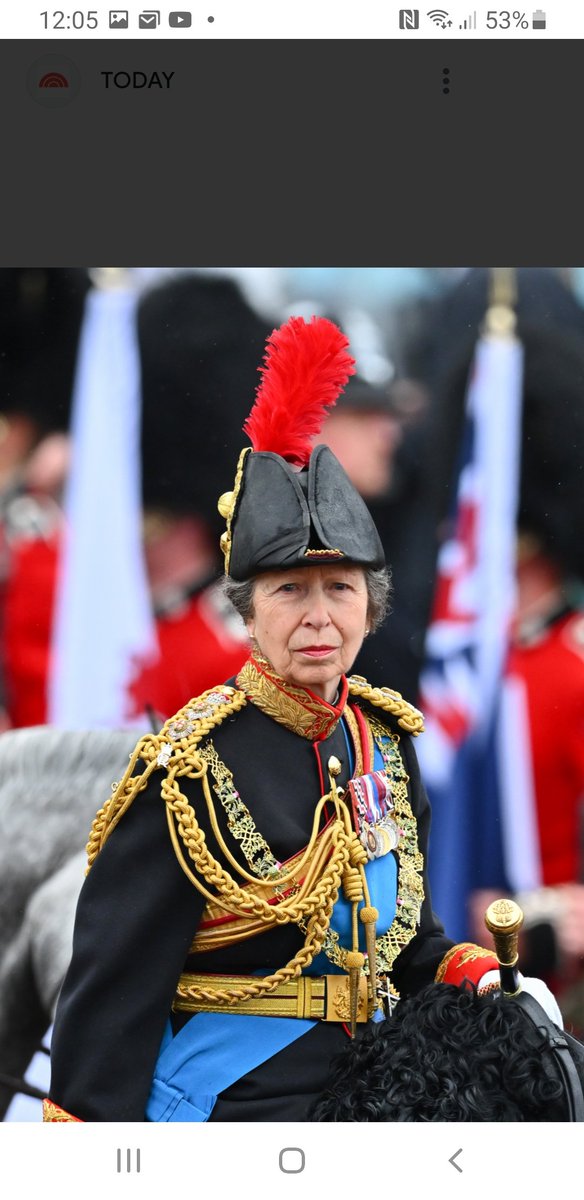 Safd9egham's tweet image. The Feather was invited to the King's Birthday parade.