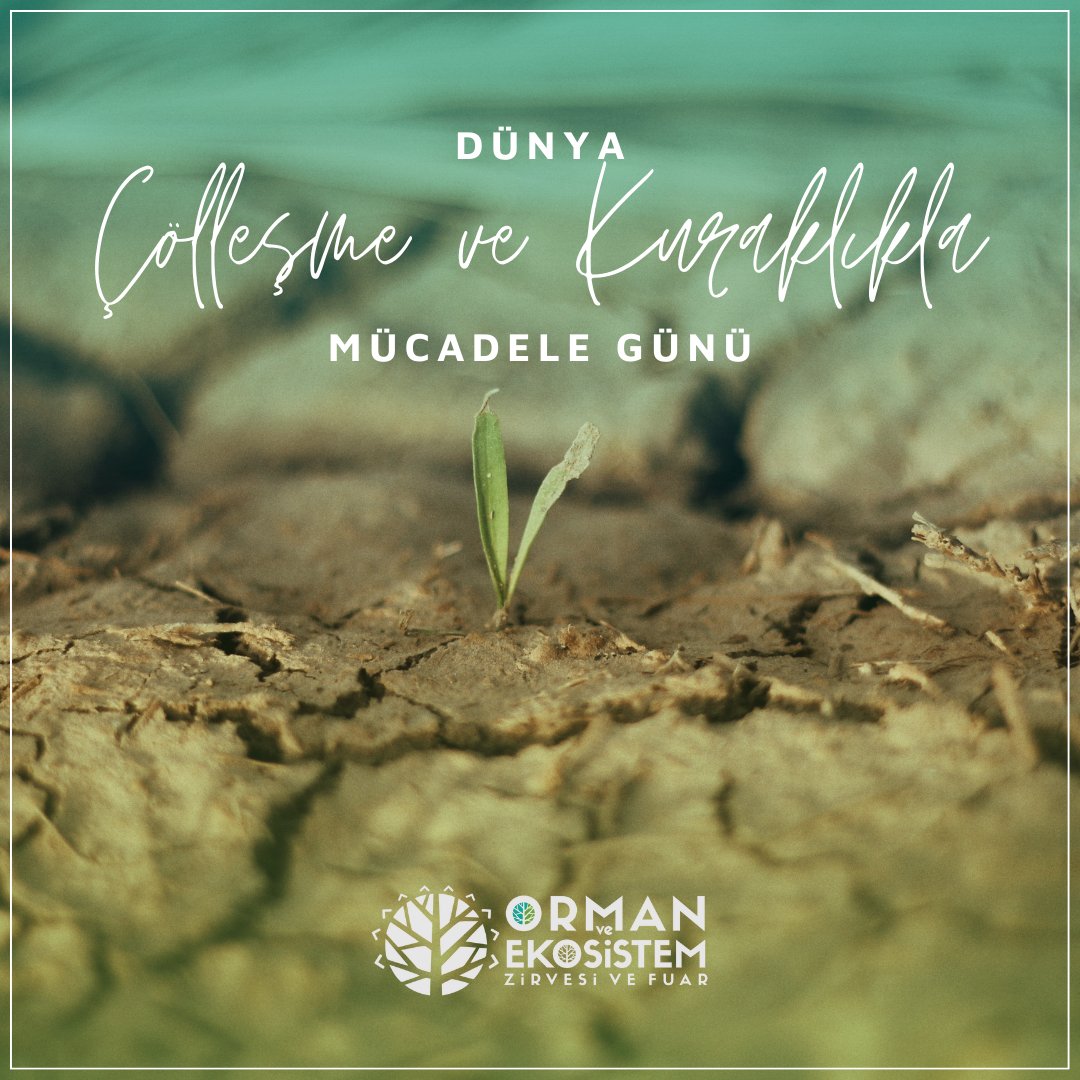 🌳 Ağacımıza, iklimimize, toprağımıza sahip çıkalım!
💙 17 Haziran Dünya Çölleşme ve Kuraklıkla Mücadele Günü kutlu olsun!

#çölleşmeylemücadelegünü #çölleşmevekuraklıklamücadelegünü #çölleşmeyedurde #ormanekosistem