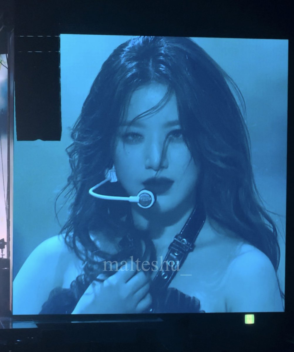 말티슈 tweet media
