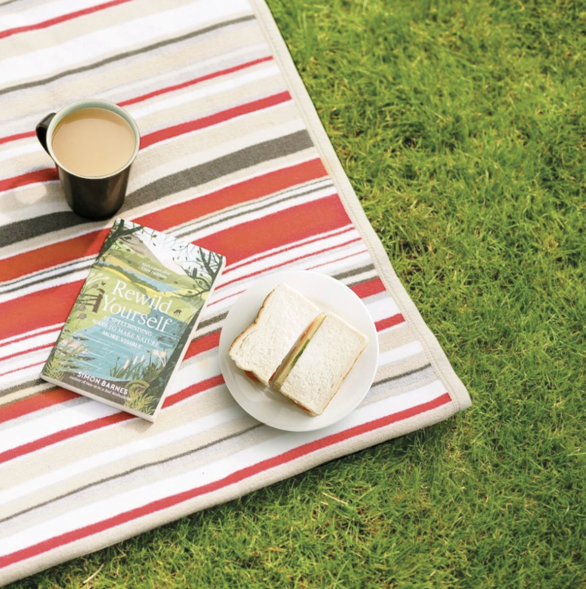 Yes, the UK has some breath taking beaches and countryside and yes, we have some beautiful parks and outside public spaces… but is there a better #picnic spot than a freshly mowed garden lawn? 

Especially when you need a refill!

#nationalpicnicweek #gardenlawn #gardengoals