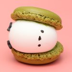 可愛すぎる!マカロンに挟まれてしまったマシュマロシマエナガ。