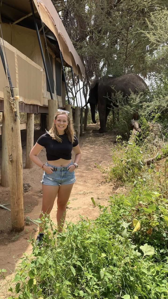 🇰🇪 We just made it to Elephant Bedroom in Samburu and they don't call it like that for no reason! The elephants literally come to the bedroom! 🐘 @OngeriSafaris to book!