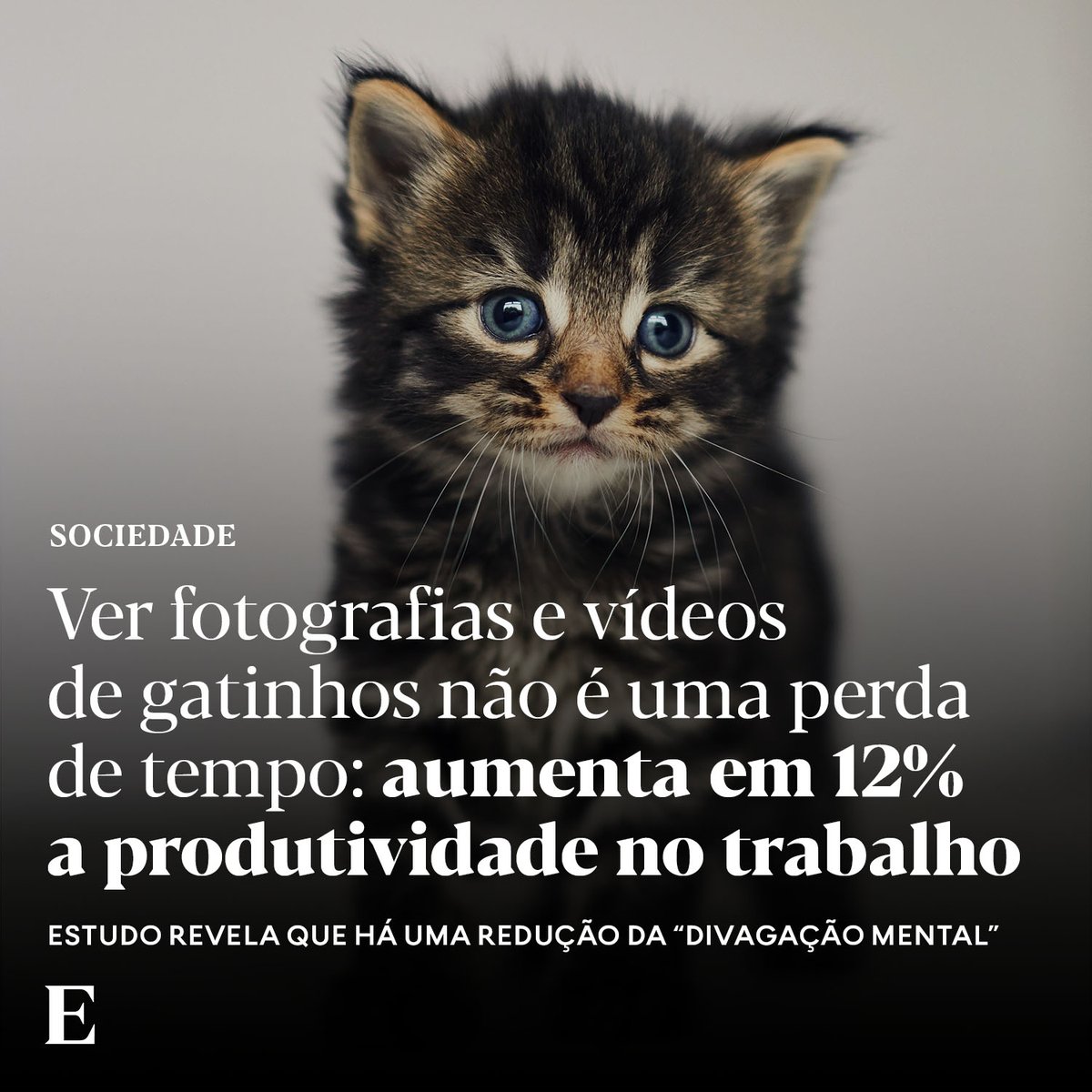joão 🦀 (@joelopensador) on Twitter photo 