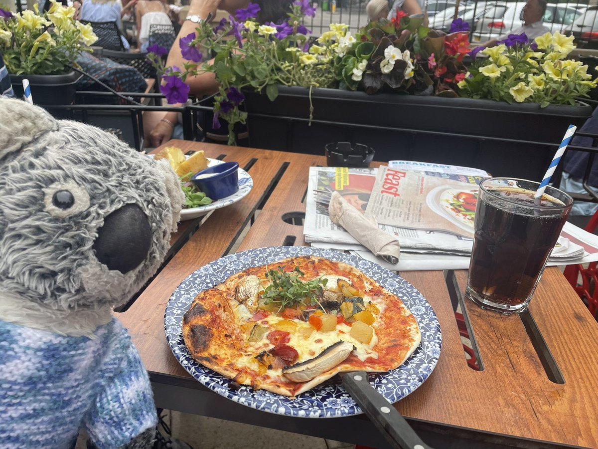 Kenny koala tweet media