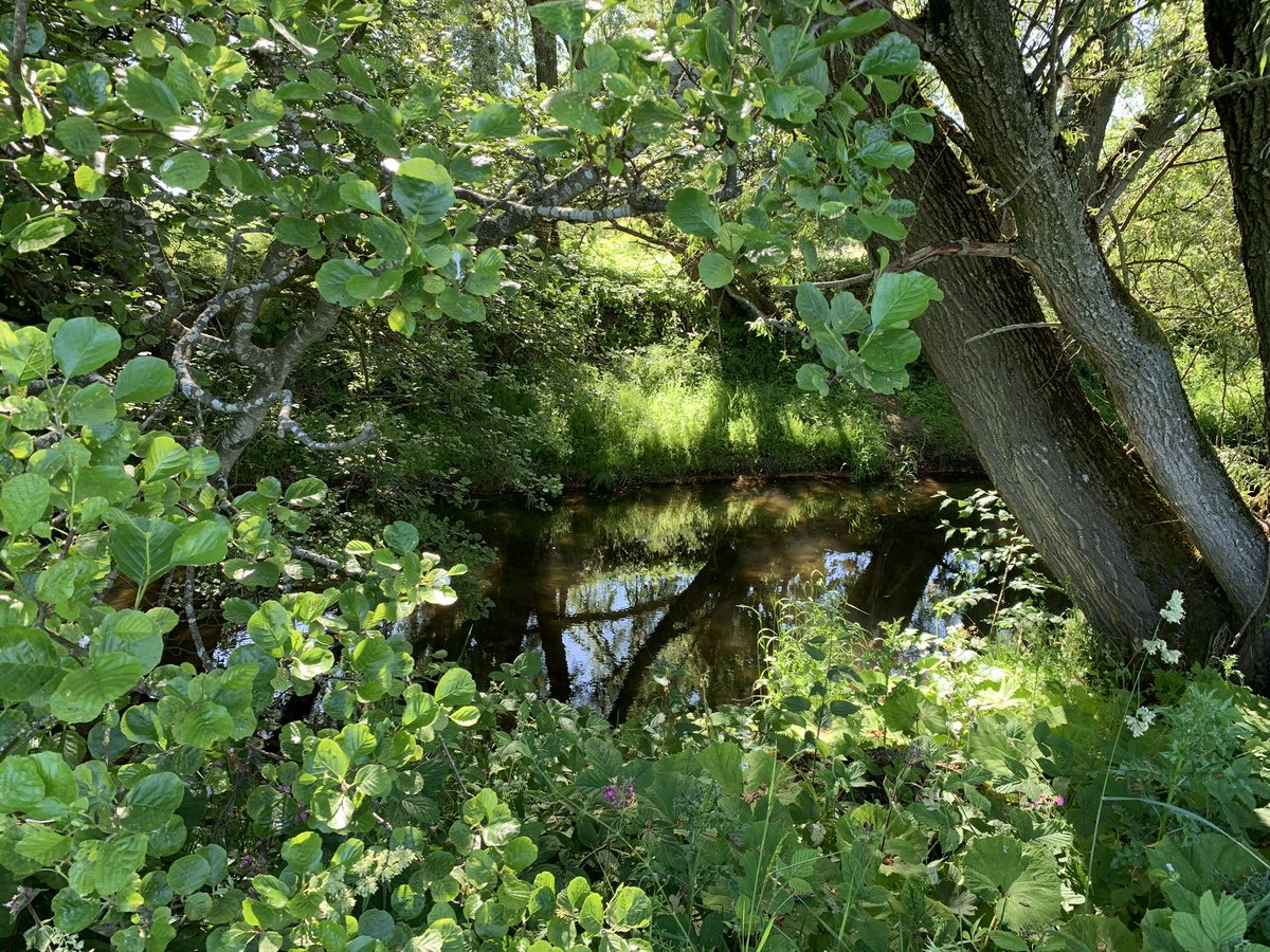 Ruthven Water  #Perthshire