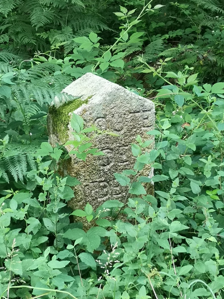 n_blanchard61's tweet photo. En forêt d'#Ecouves on trouve à chaque carrefour en étoile des bornes directionnelles, installées à la fin du XVIIIe siècle à la demande du Comte de Provence. Ce rare témoignage d'une signalétique encore en place a justifié l'inscription #MH des 80 bornes en granites, en 1987 https://t.co/Fd3Q2JK6IX