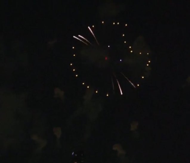 NOT THE FIREWORK CAT