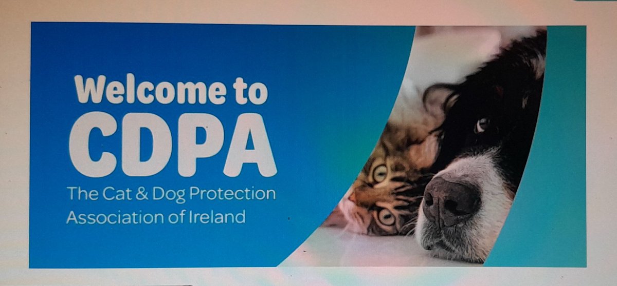mkw_19's tweet photo. June is National Foster a Pet Month
Please Foster or Adopt, don't shop 🙏 If you would like to donate, volunteer, foster or adopt check out CDPA here
https://t.co/cL3iK0ONfF https://t.co/JKcQMQyw6q
