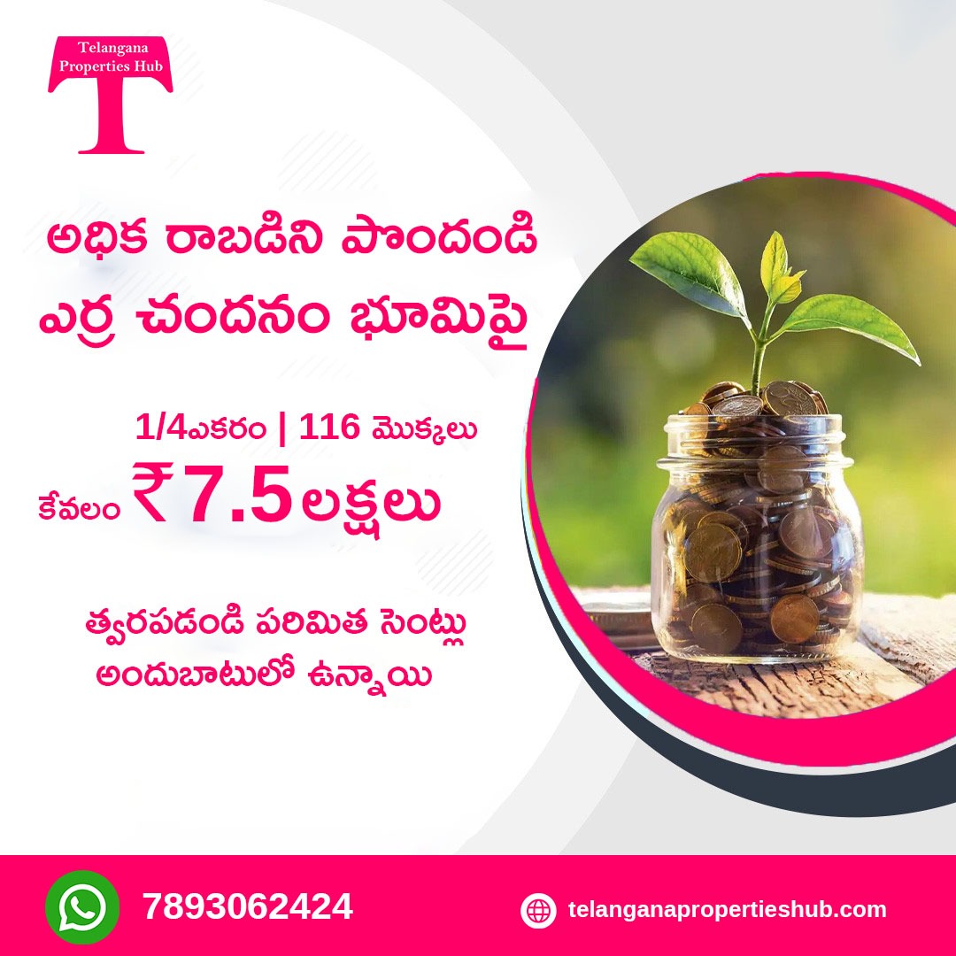 TelanganaHub's tweet image. Red sandal farmland for sale in Nellore, Andhrapradesh
#telanganapropertieshub #openplotsforsale #plotsavailable #ytshorts #plotsale #redsandalfarmlands #Redsandalwood