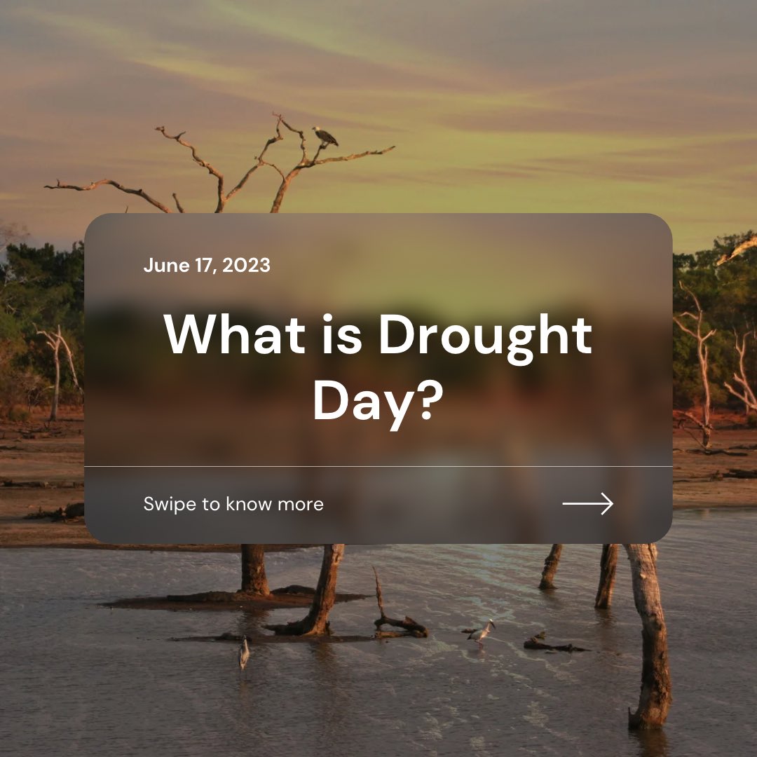 Today is #DroughtDay, but what is #Drought Day? 🧐🌍💚

Check out this thread to find more! 👇

#United4Land #HerLand #DDDAY #Youth4Land
