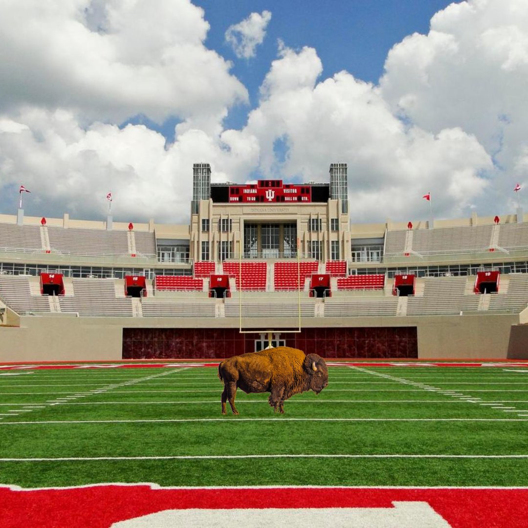 Bring back the Bison. #iufb