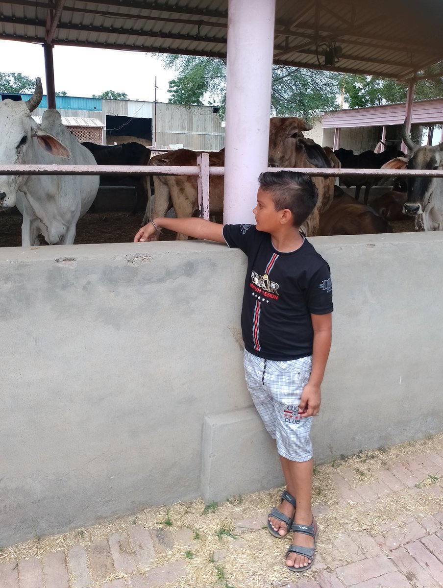 deepuinsan40142's tweet photo. #FeedCow
#AnimalWelfare
#KindToAnimals
#CareForAnimals
#AnimalLove https://t.co/MxHHuJCqjH