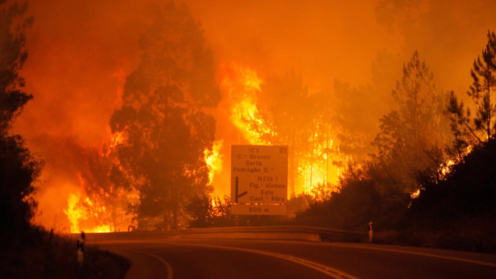 Hoy 17 de junio se cumple el 6º aniversario de la peor catástrofe relacionada con los incendios forestales en la Península Ibérica en el siglo XXI: el incendio de Pedrógão Grande 😔🕯️
66 víctimas mortales
254 heridos
500 casas destruidas
53 000 hectáreas arrasadas