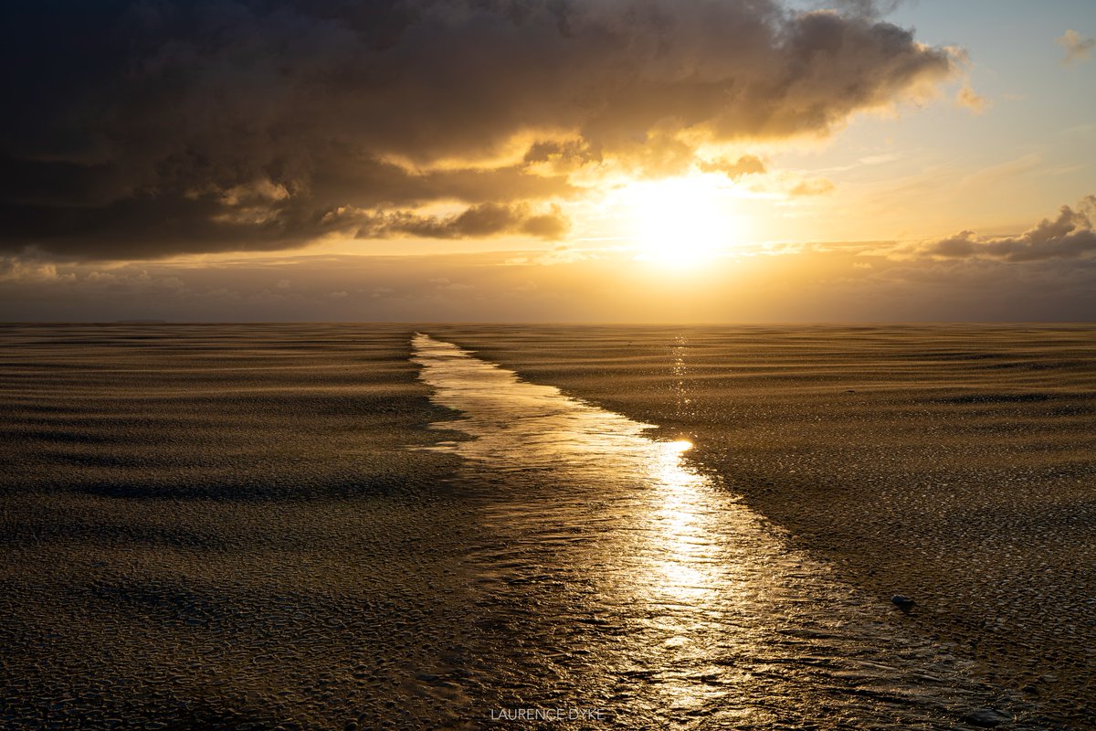 Cold and gold.

The freezing of the Ross Sea.

March 2023.