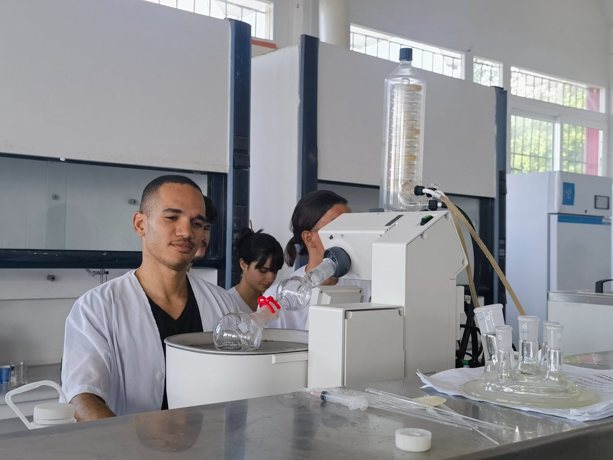 Yoana Pérez Badell tweet media