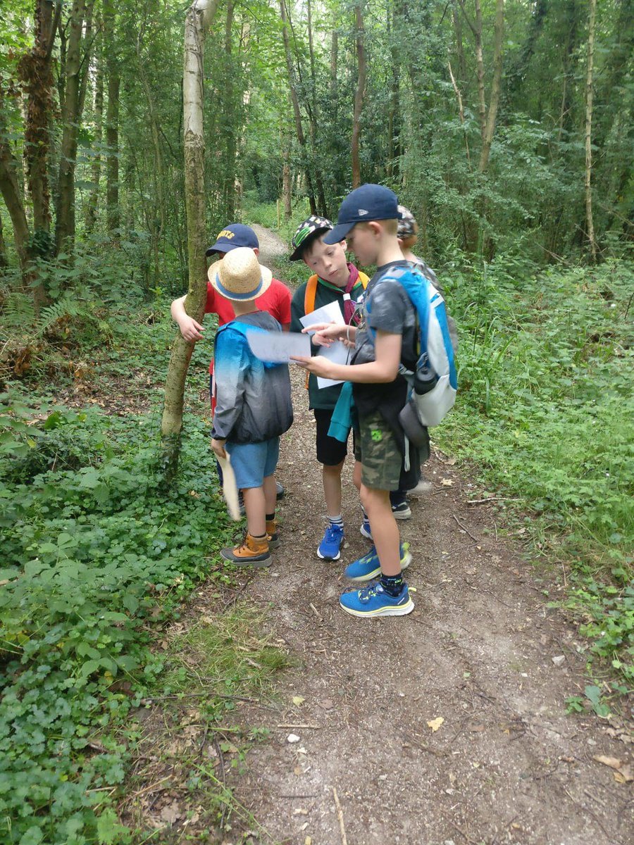 Cubs are orienterring at camp today