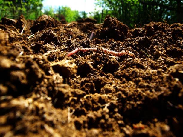 Soil is not just a substance, soil is the soul.
#savesoil
@cpsavesoil 
@SadhguruJV 
@narendramodi 
#ClimateEmergency