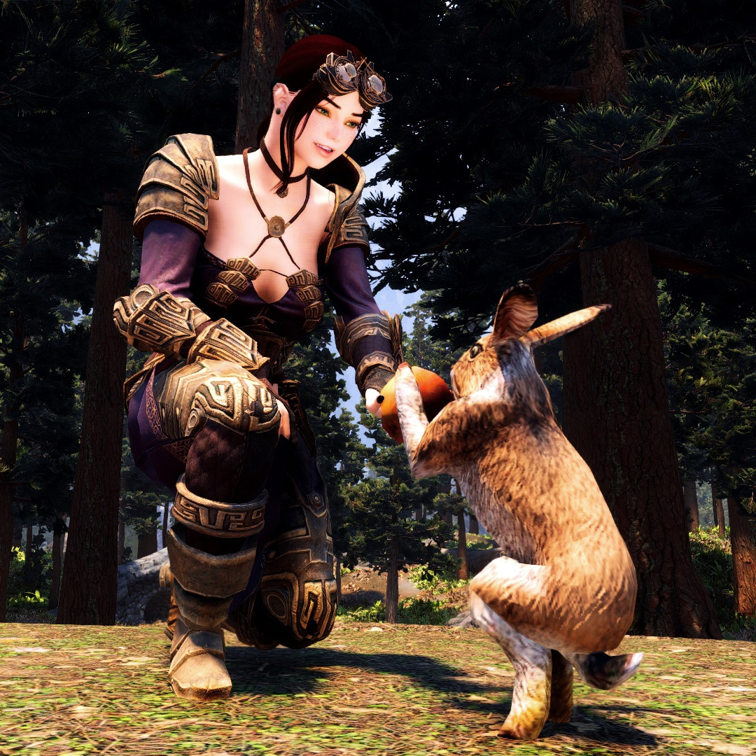 Nexusmods.com Skyrim