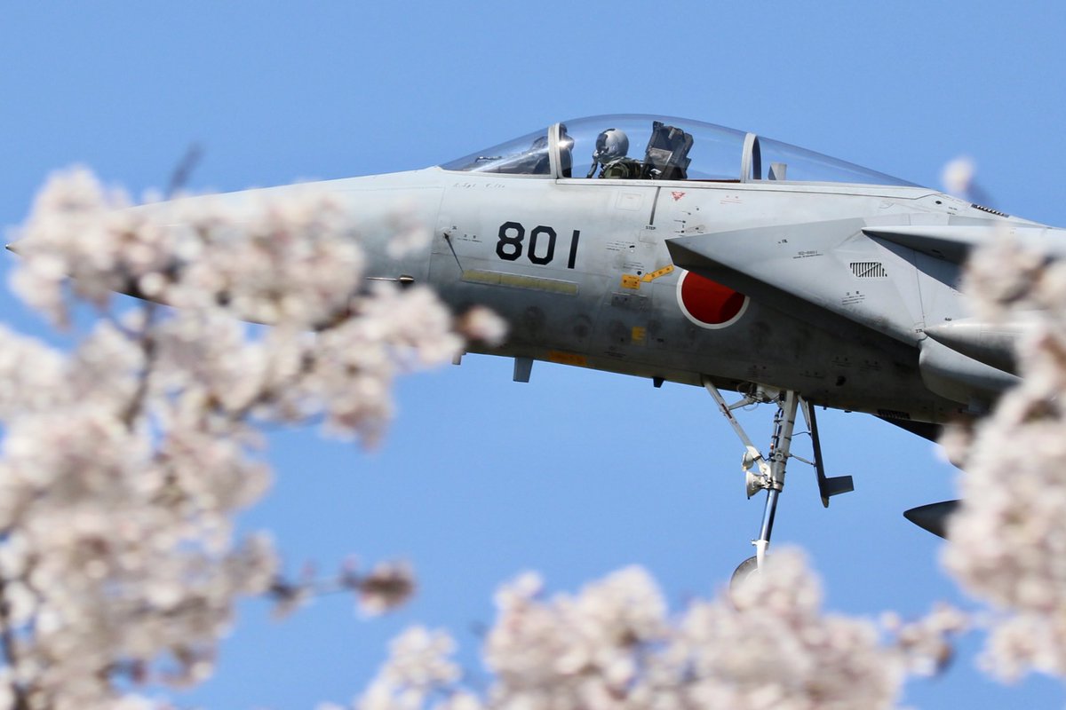 「満開の桜と」
Canon90D
 #サンディスクFlyフォトコン