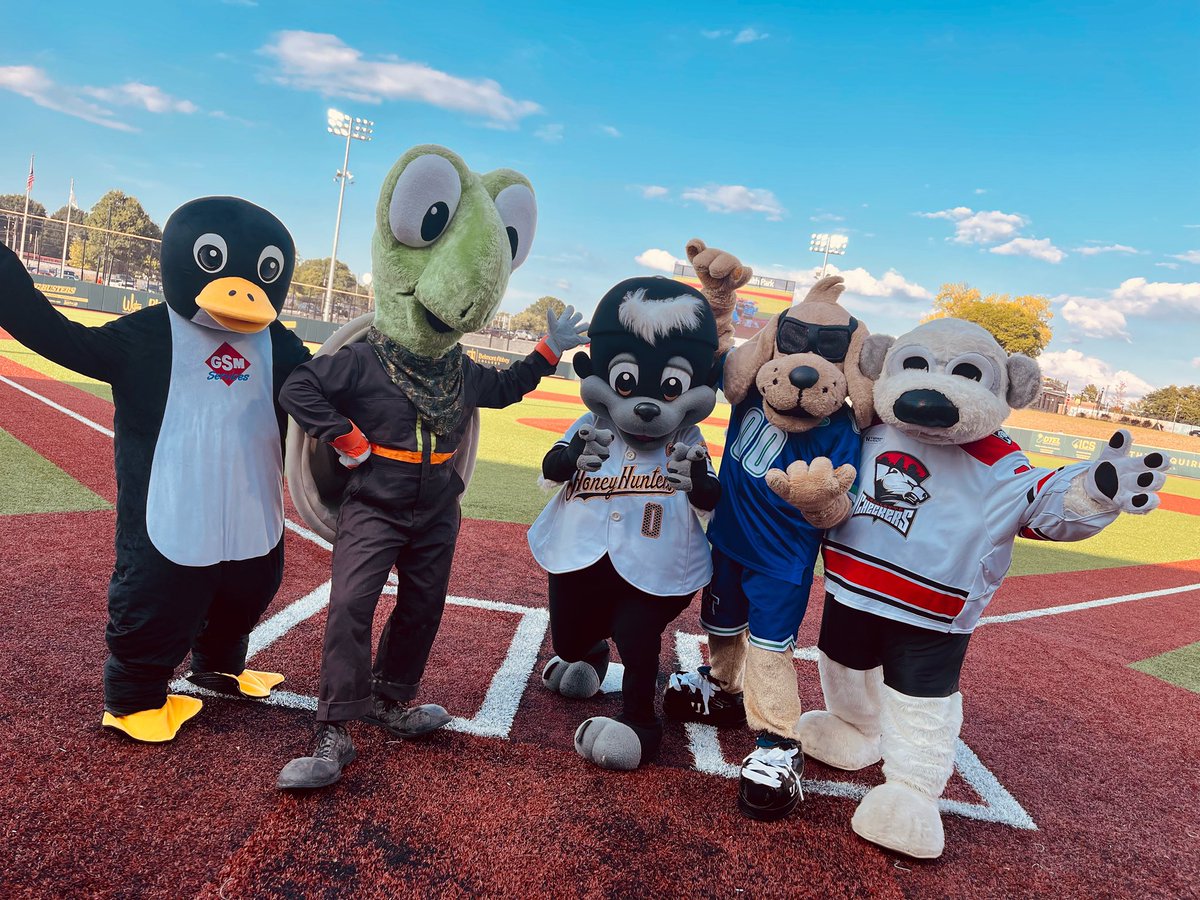 To all the furry, feathered, and otherwise costumed characters who bring joy to fans of all ages. Happy #nationalmascotday
