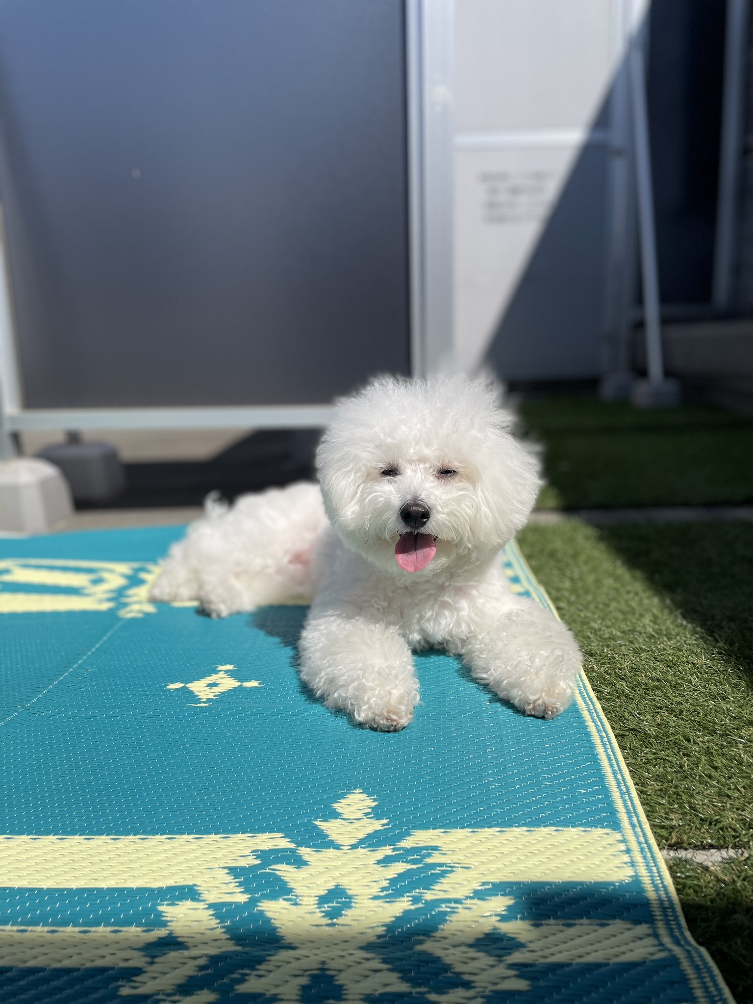 のんたんさま PBMG XXXG-01S2 アルトロンガンダム ( ナタク/哪吒 )完成