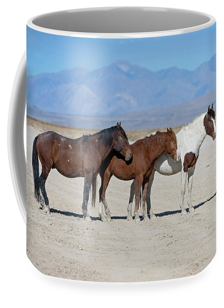 Have #Coffee with the crew! Two #mug sizes available.

Get It: fon-denton.pixels.com/featured/jaspe…

#WildHorses #WildHorse #Horses #CoffeeMug #BuyIntoArt #AYearForArt #TheArtDistrict #HorseLovers #Equine #GiftIdeas #FathersdayGifts #WildHorsePhotographs #CoffeeLovers #Mugs #PhotographyIsArt