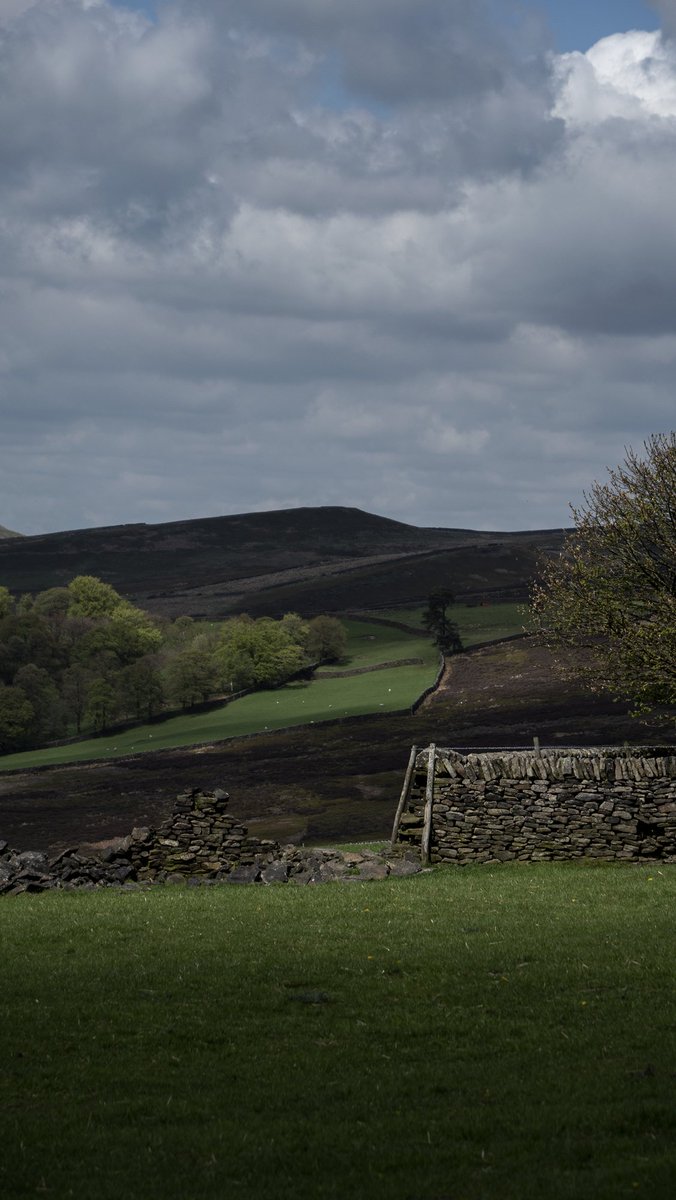 James Roper (@jamesroperart) on Twitter photo 