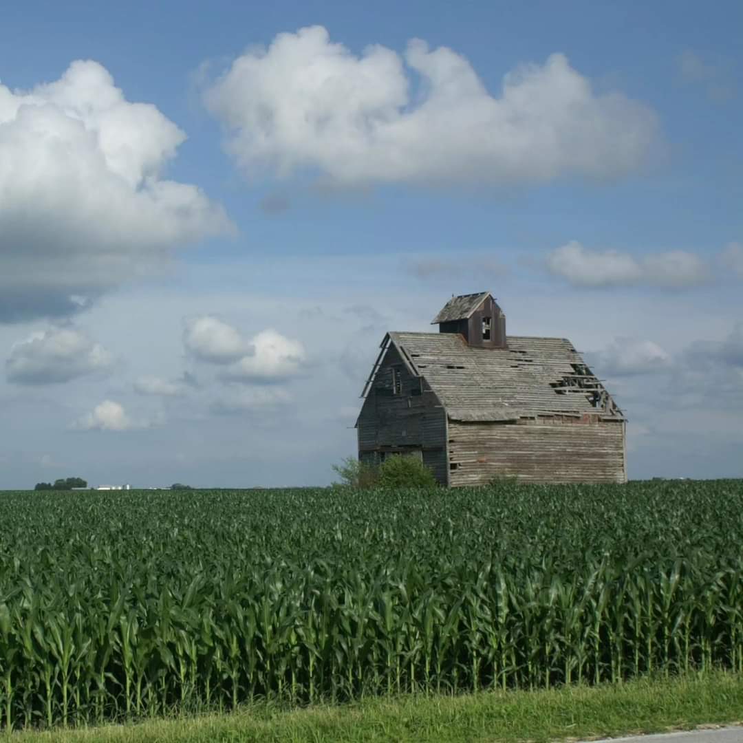 Good morning!☀️
#TodayisaGift #Saturday #June #SpringinIllinois #CornCrib #WeatheredWood #Cloudscape #EveryDaysaBlessing #ThankfulforToday