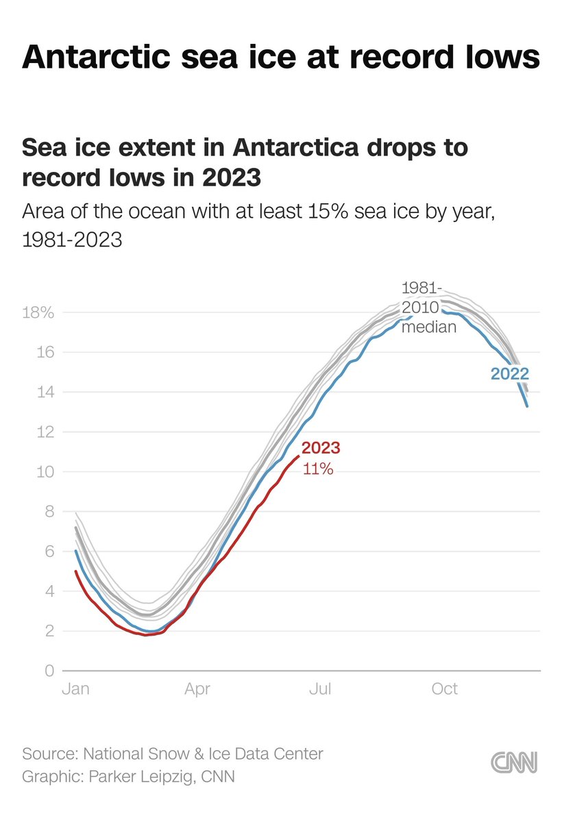 Ted Corcoran (RedTRaccoon) tweet media