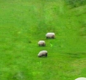 Önümdeki çocuğun matematik optiği / benim matematik optiğim
#yks2023