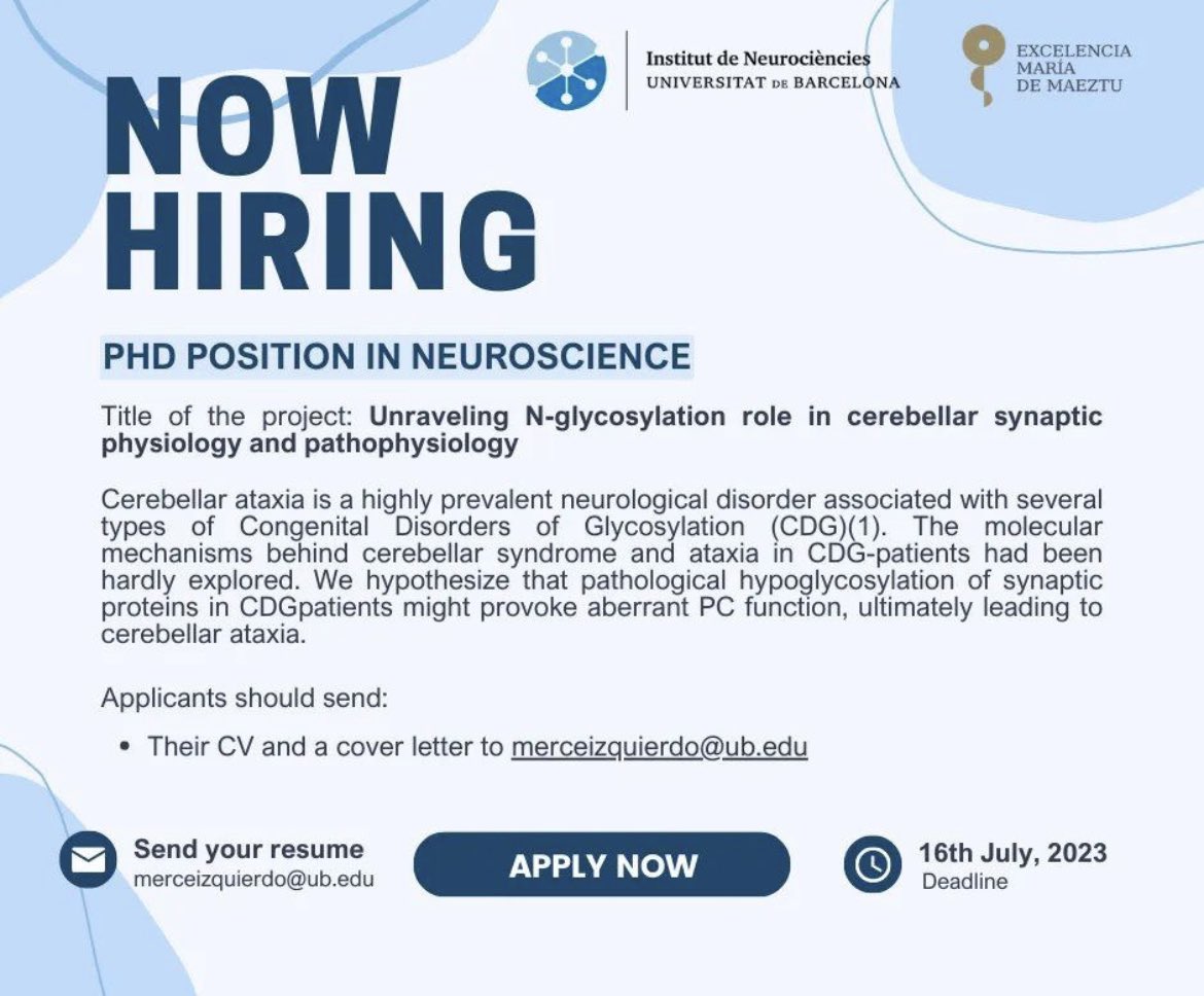 PhD opportunity in neuroscience