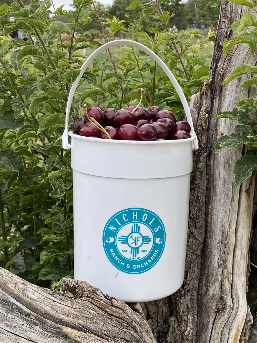 Roxy Van Ruiten on Twitter "RT robnashman Had a great time at the