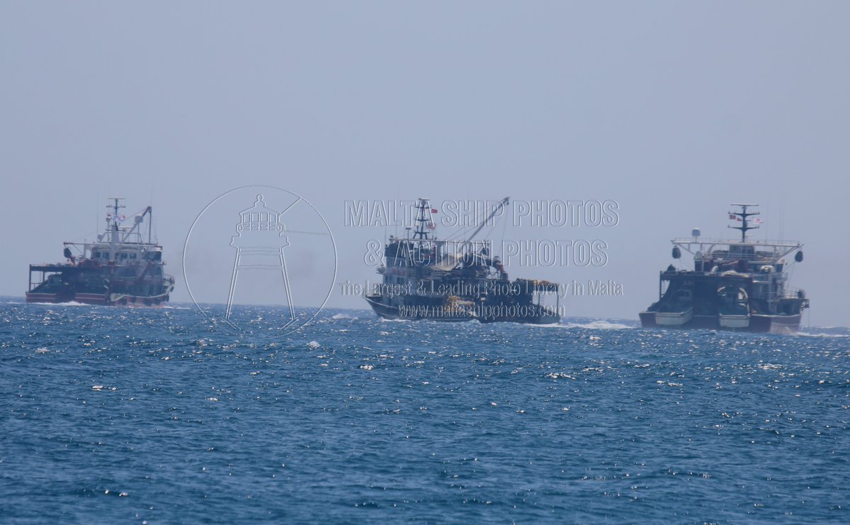 Shipguru's tweet photo. #Turkish #PurseSeiners #justleft #grandharbourmalta - 17.06.2023 - https://t.co/nfgboxc3g3 - NO PHOTOS can be used or manipulated without our permission @ICCAT @EFCA_EU https://t.co/Pi5P2NpUer