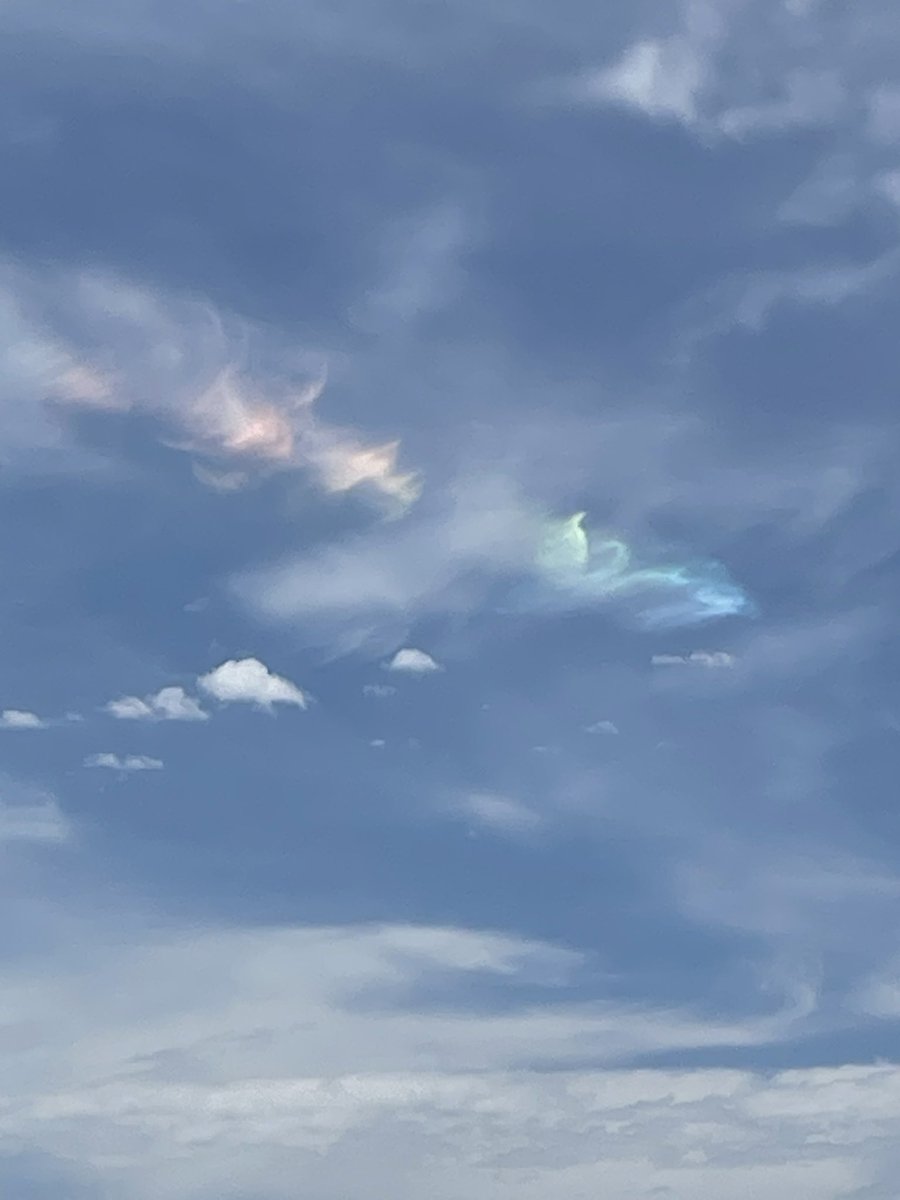 ARHS Ultimate tweet media