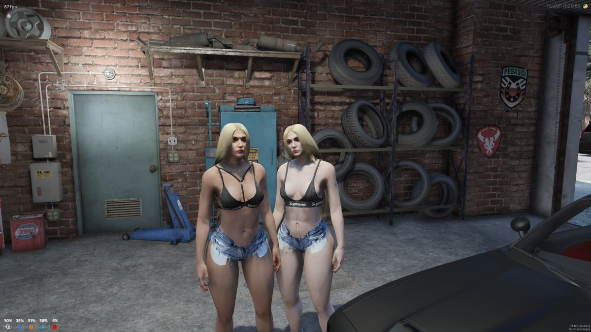 Who doesn't like Twins? Jypsie and Lola are probably your biggest trouble makers in Capitol City. #CapitolCityRP5M #twins #GTARP #GTAV